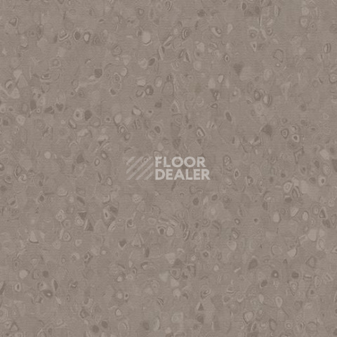 Линолеум Forbo Sphera Element 50020 silt фото 1 | FLOORDEALER
